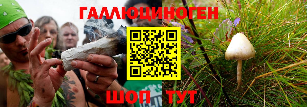 Галлюциногенные грибы Psilocybine cubensis  Псилоцибиновые грибы мицелий  Ртищево  Вход с VPN 